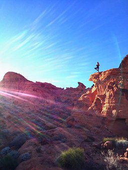 Sunny Tree Pose on Rocks